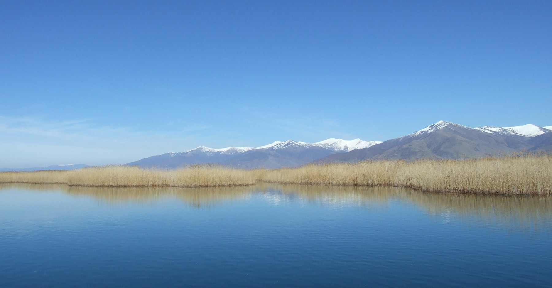 Comfort Lux Travel van για πολυτελείς ιδιωτικές μεταφορές και εκδρομές